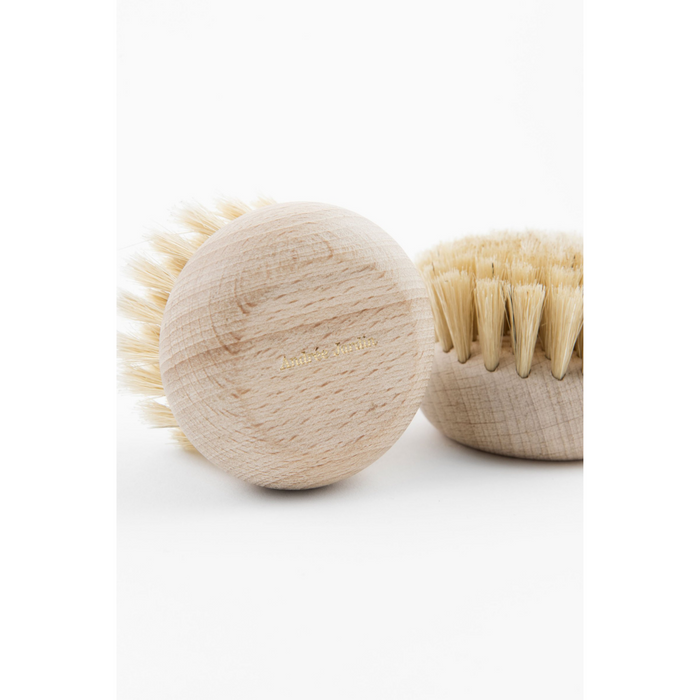 ANDREE JARDIN BEECH BRUSH