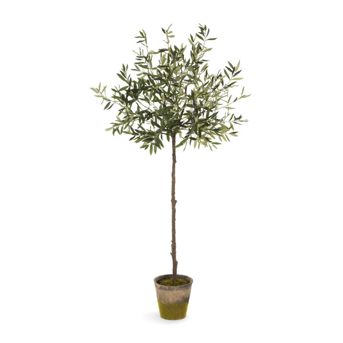 FAUX POTTED OLIVE TREE 69"