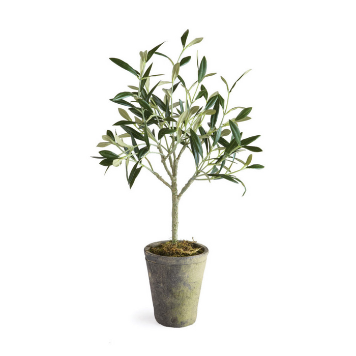 FAUX POTTED OLIVE TREE 17"