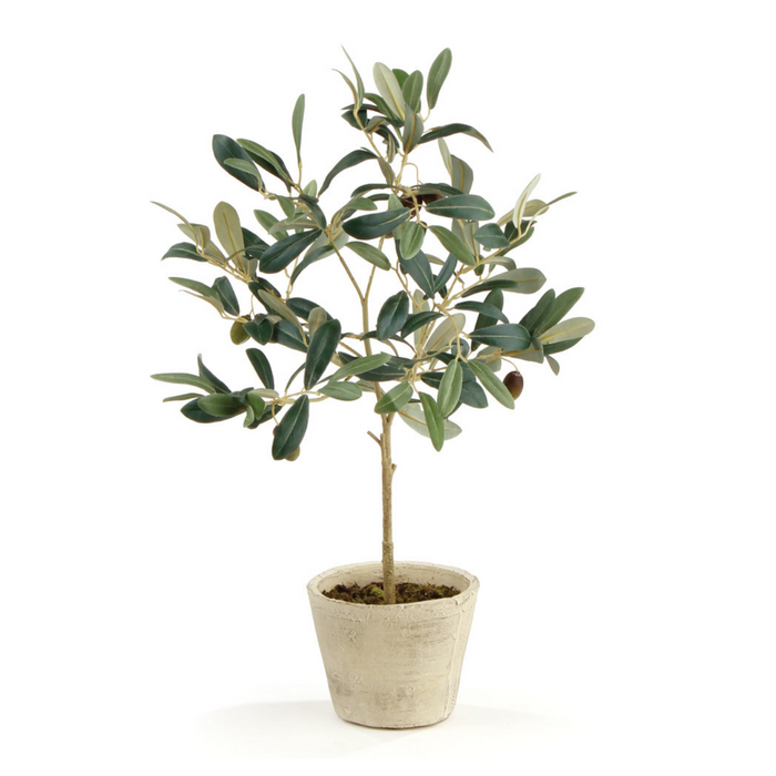 FAUX POTTED OLIVE TREE WITH FRUIT 19.5"